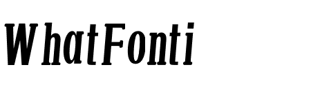 NN Bee Serif