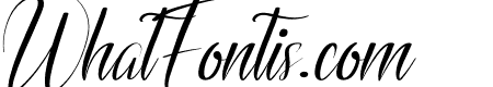 Bristteback