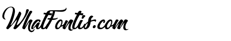 Staillistica Italic