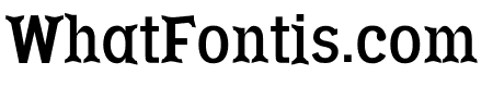 NN Daisy Serif