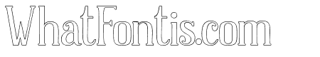 DolphinsOutline-Light