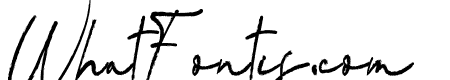 Hanbrush
