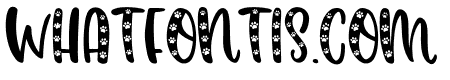 White Paws