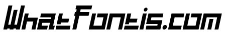 Guardian Warrior Italic