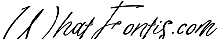 Tisushine Bold Italic