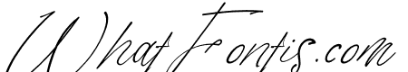 Tisushine Italic