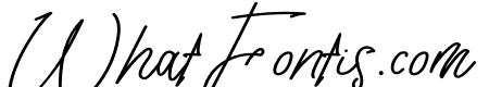 Tisushine Monoline Bold