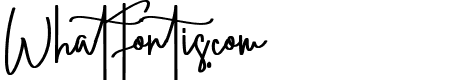 Straight Signature