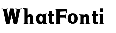 NN Boho Serif
