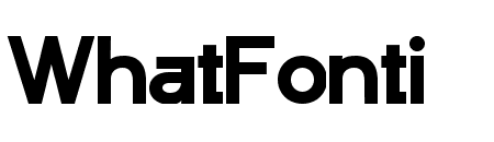 Punta Extra Bold Flat