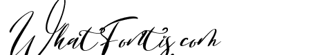 Sweater Script Italic