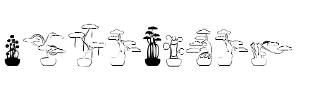 bonsai extras Regular