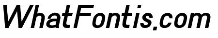 HAMMER Bold Italic