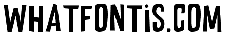 CG GINGER FONT Regular