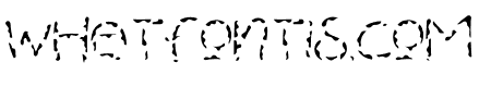Malcow Layer