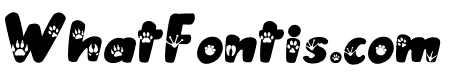 Animal Paws