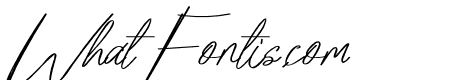 Fonts
