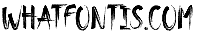 Bimber Brush Regular