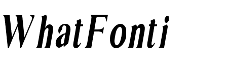 EXTRASerif-Italic