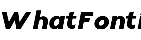 Radian Black Italic