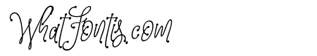 Metafora Italic