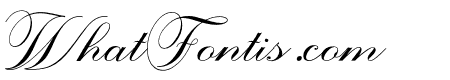 TheBeautyBlink