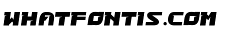 Race Guard