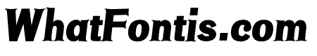 NN Shark Serif