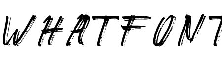 GORILAS