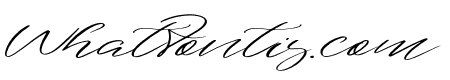 saiquiry Regular