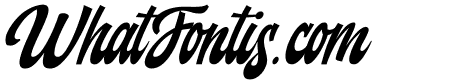 Backstranger Thin Italic