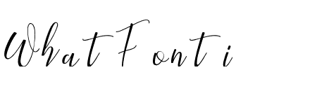 Bqtrack Script Regular