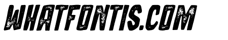Ribons Stamp Oblique