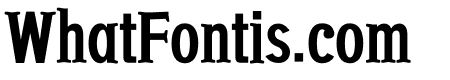 NN Dog Serif