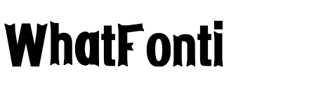 NN Spring Serif