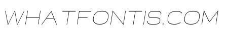 Neon Thin Italic