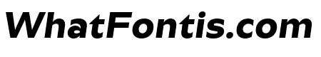 Bw Aleta No 20 ExtraBold Italic