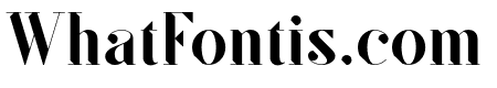 SF Kingston Medium