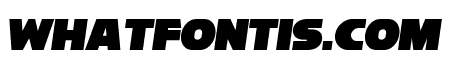 Reisenberg 2.0 Italic