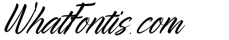 Mashygets Regular
