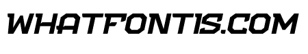 NFC Flipper Bold Italic