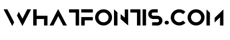 Noir Bold
