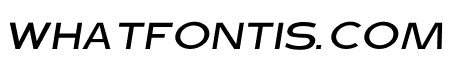 Dublin Light Italic