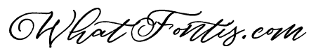 Douglas-Palmeira Script