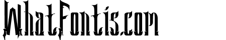 SeahorseTypeface
