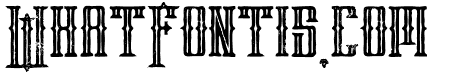 phoenix bold line grunge