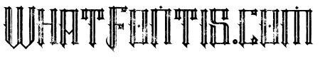 TimorLinegrunge