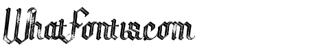 Tracker italic inline grunge