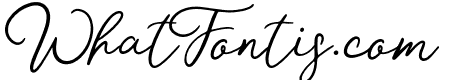 Mon Amour Script
