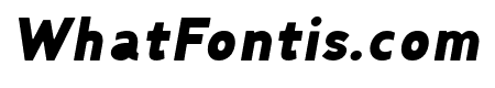 Fibon Neue Black Italic Round